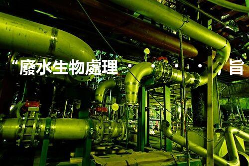 “廢水生物處理，旨在凈化水源，守護(hù)碧水藍(lán)天”